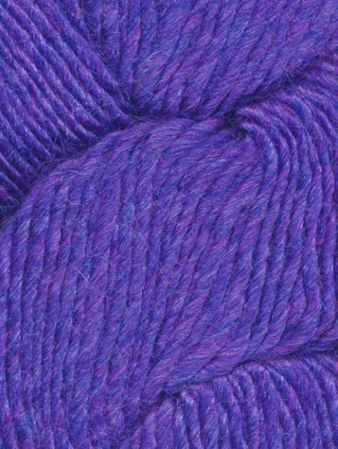 7126 Verbena